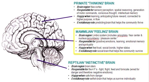 The Subconscious And The Human Brain Subliminal Pro Audio